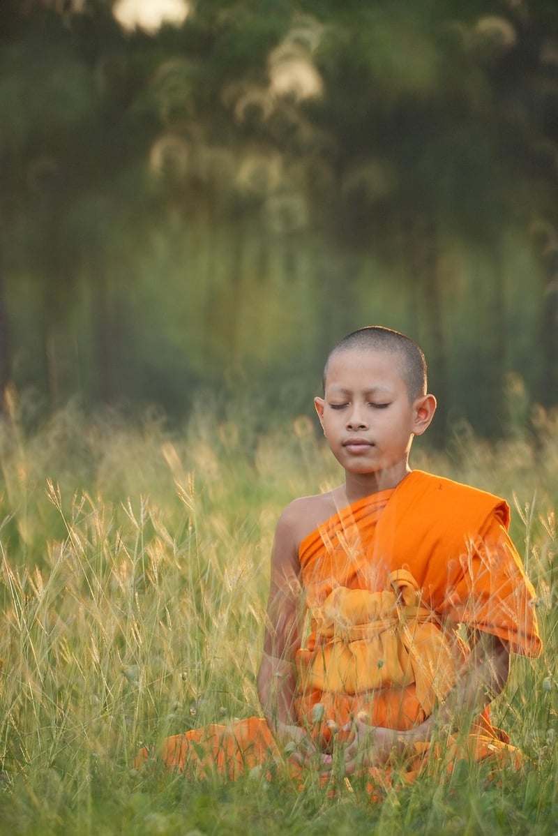 Meditation for holistic well-being